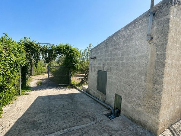 pentavano in vendita a Noto