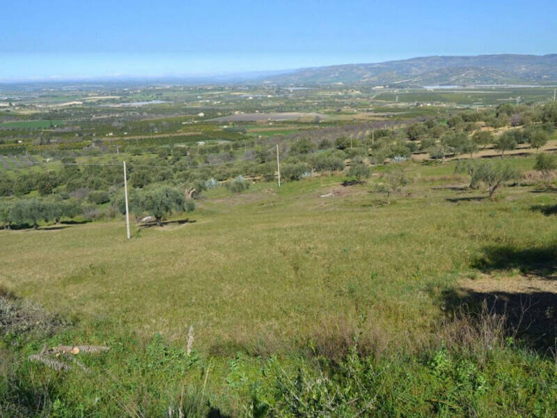 terreno agricolo in vendita a Noto