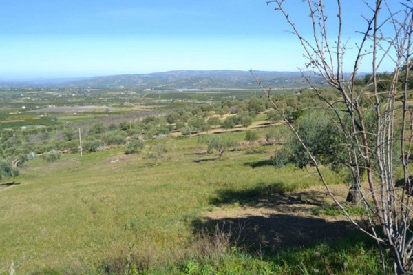 terreno agricolo in vendita a Noto