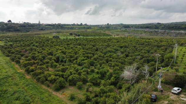 terreno agricolo in vendita a Noto