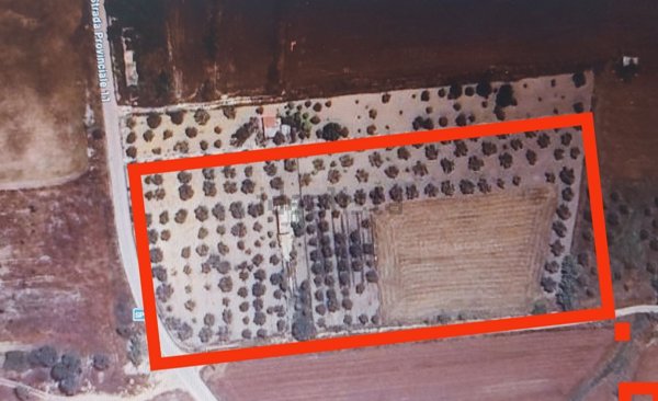 terreno agricolo in vendita a Noto