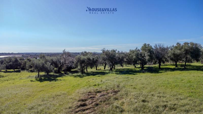 casa indipendente in vendita a Noto in zona Vendicari