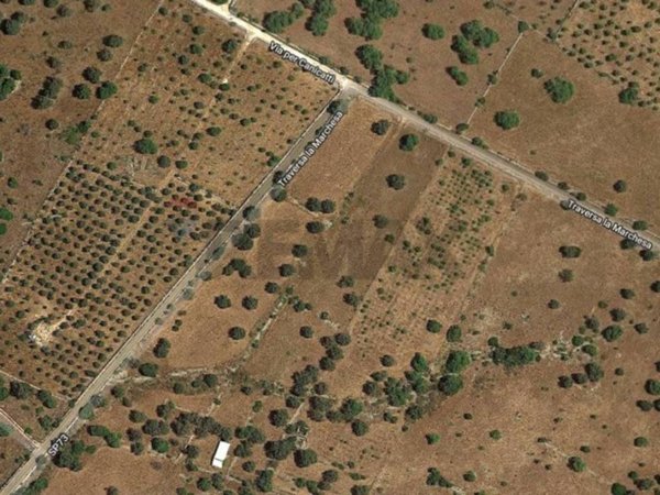 terreno agricolo in vendita a Noto