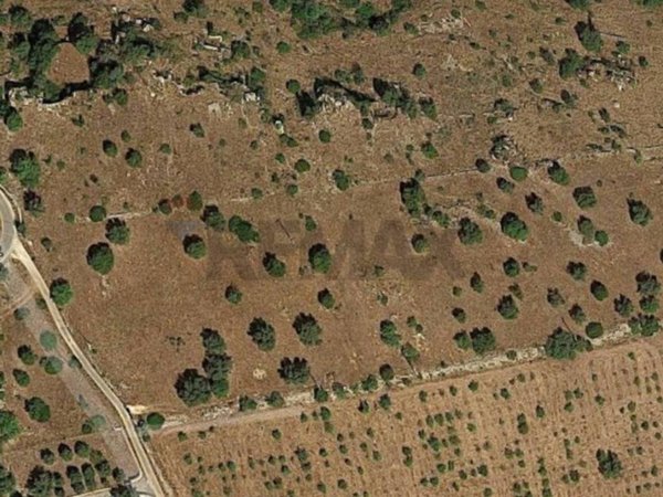 terreno agricolo in vendita a Noto