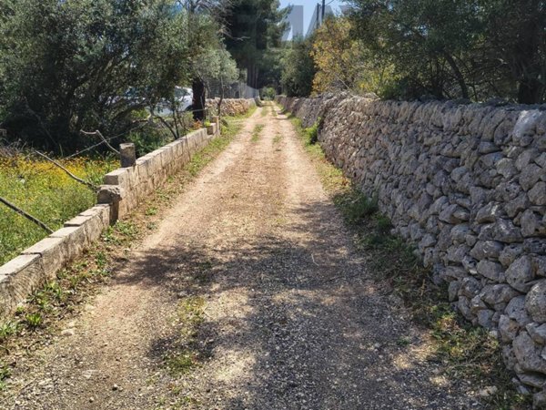 terreno agricolo in vendita a Noto