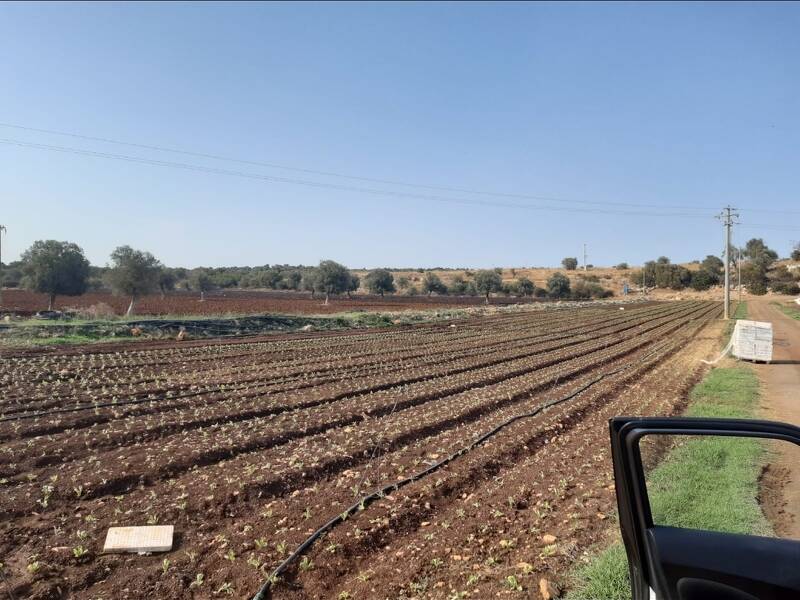 terreno edificabile in vendita a Noto