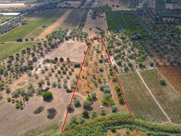 terreno agricolo in vendita a Noto