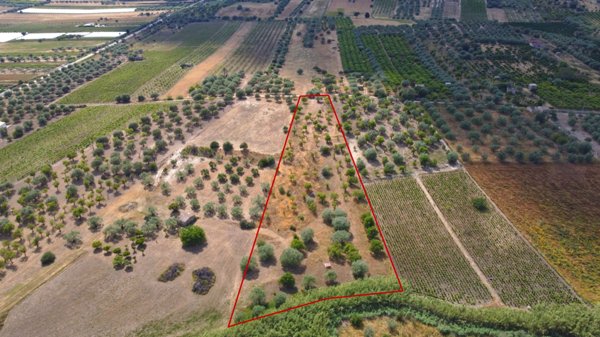terreno agricolo in vendita a Noto