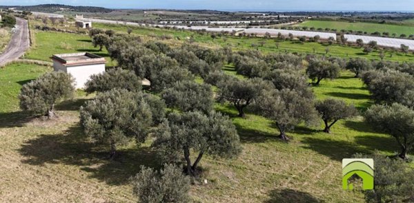 terreno agricolo in vendita a Noto in zona Vendicari