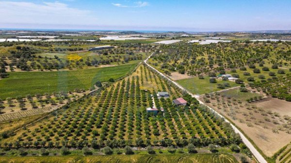 casa indipendente in vendita a Noto in zona Vendicari