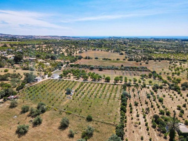 terreno agricolo in vendita a Noto