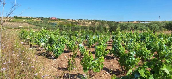 casa indipendente in vendita a Noto in zona Vendicari