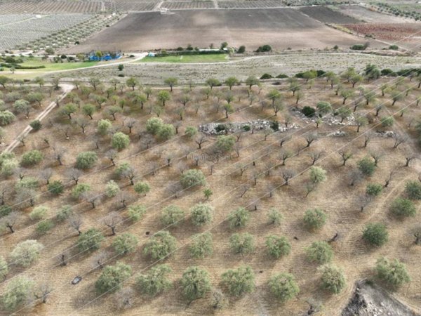 casa indipendente in vendita a Noto in zona Vendicari