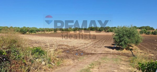 terreno agricolo in vendita a Noto