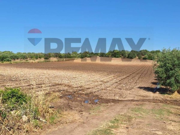 terreno agricolo in vendita a Noto