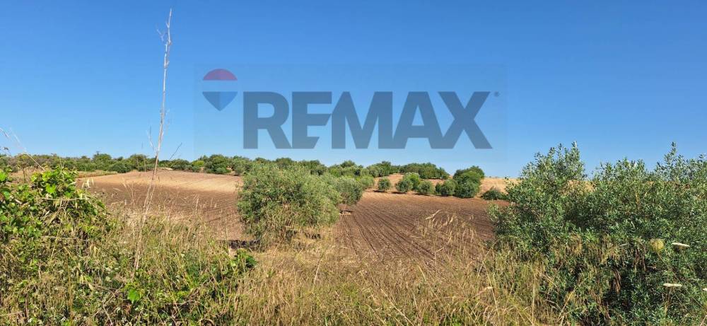 terreno agricolo in vendita a Noto in zona Vendicari