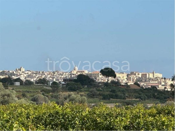 terreno agricolo in vendita a Noto in zona Madonna Marina