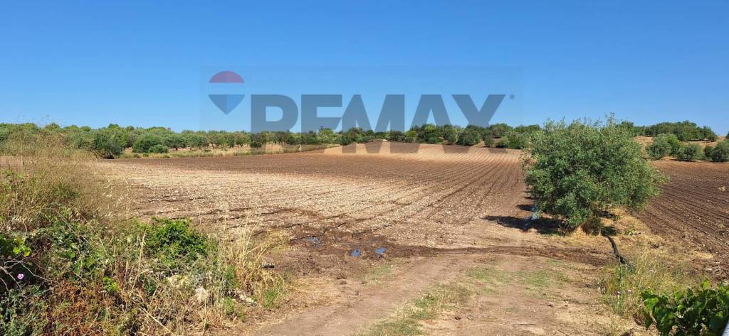 terreno agricolo in vendita a Noto in zona Vendicari