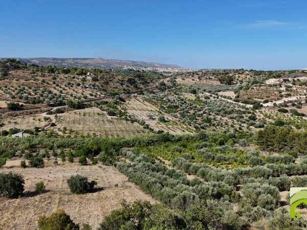terreno agricolo in vendita a Noto in zona Madonna Marina