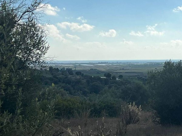 terreno agricolo in vendita a Noto in zona Coda di Lupo