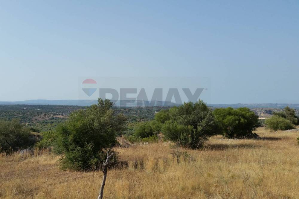 terreno agricolo in vendita a Noto in zona San Corrado di Fuori