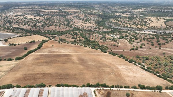 terreno edificabile in vendita a Noto in zona Coda di Lupo