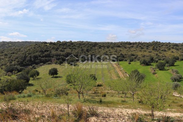 terreno agricolo in vendita a Noto