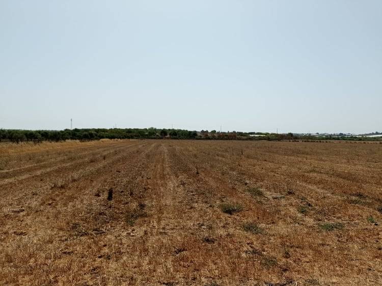 terreno agricolo in vendita a Noto in zona Vendicari