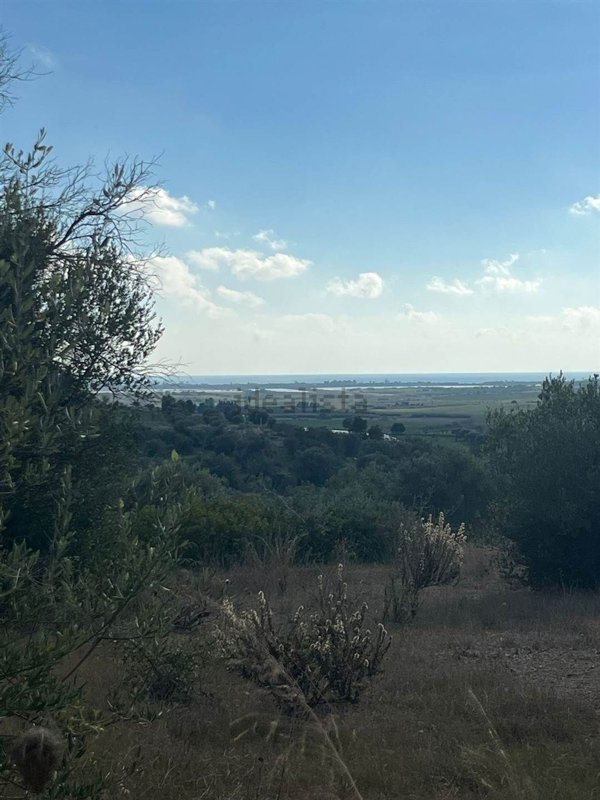terreno agricolo in vendita a Noto in zona Coda di Lupo