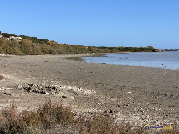 terreno agricolo in vendita a Noto in zona Vendicari
