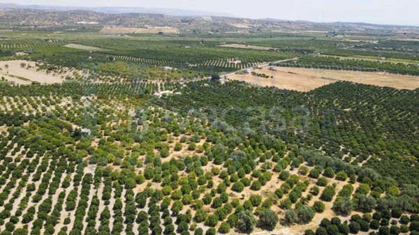 terreno agricolo in vendita a Noto