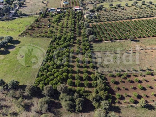 appartamento in vendita a Noto in zona Falconara