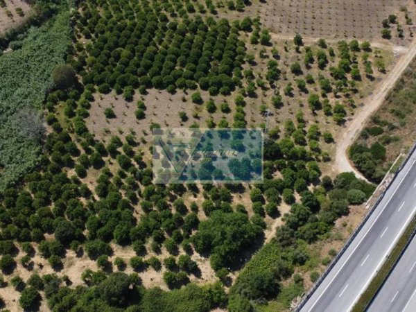 terreno agricolo in vendita a Noto