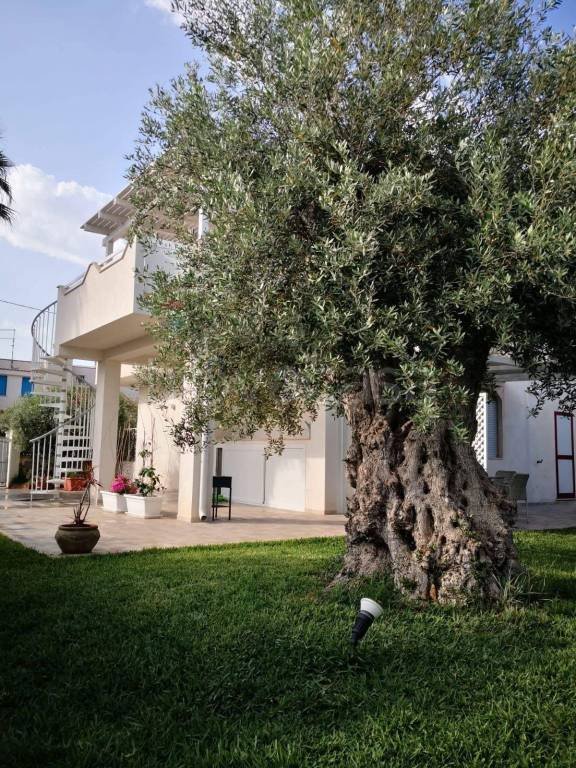 casa indipendente in vendita a Noto in zona Reitani