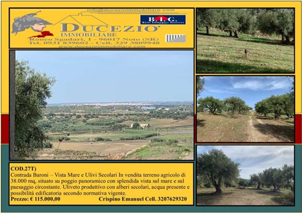 terreno agricolo in vendita a Noto