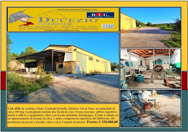 azienda agricola in vendita a Noto