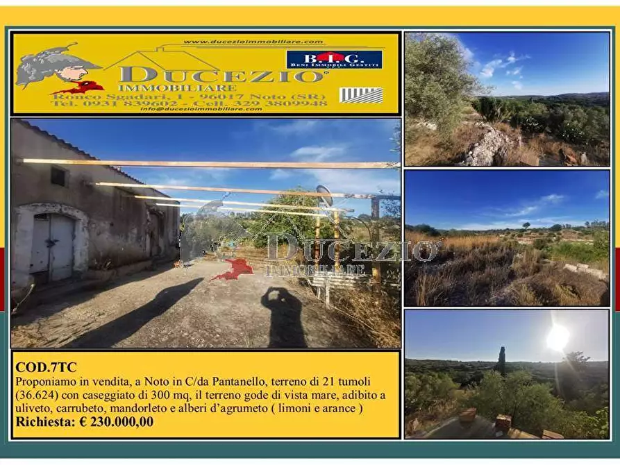 casa indipendente in vendita a Noto