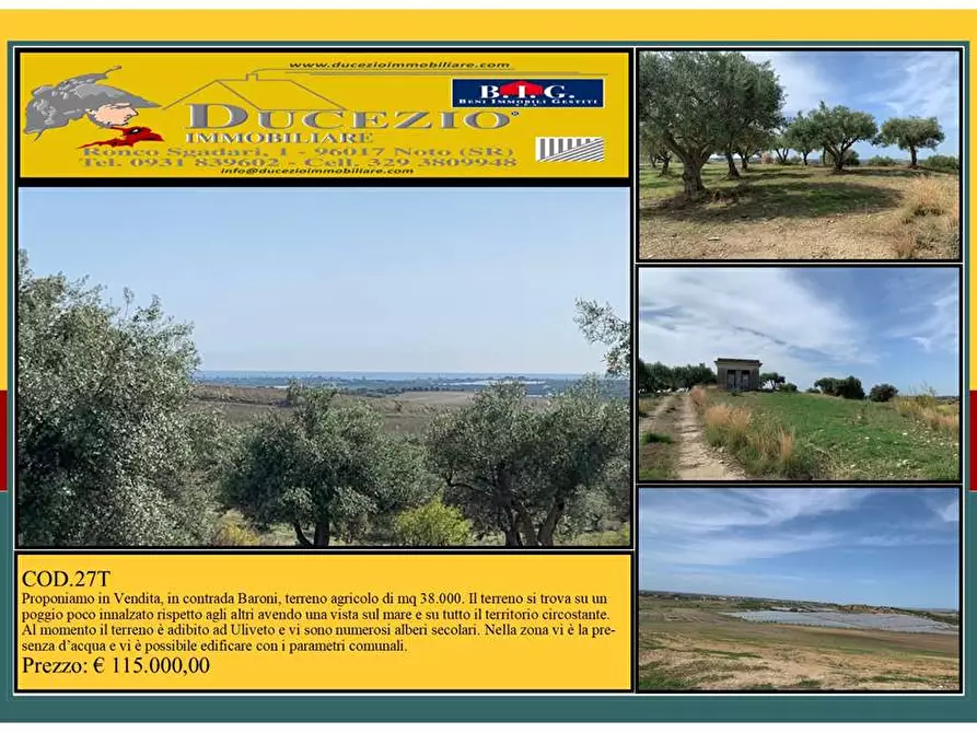 terreno agricolo in vendita a Noto