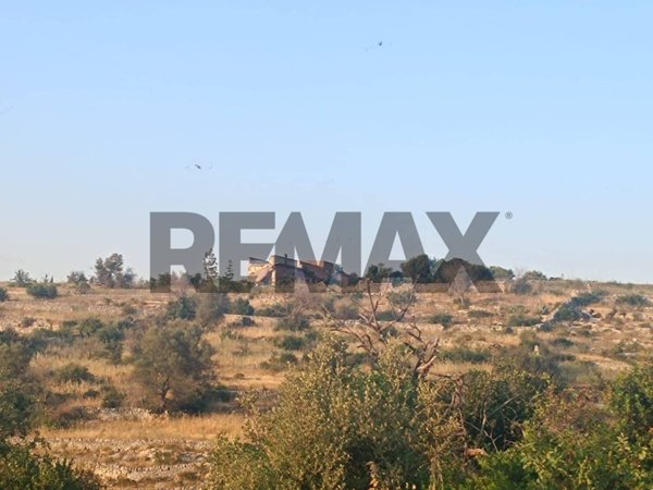 terreno agricolo in vendita a Noto
