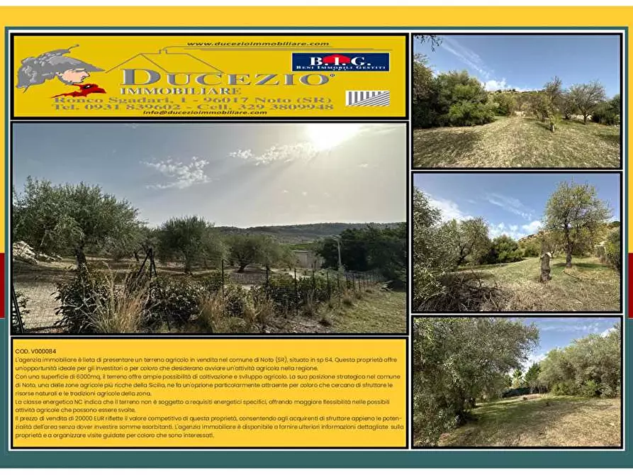 terreno agricolo in vendita a Noto