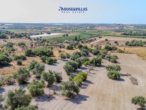 terreno agricolo in vendita a Noto