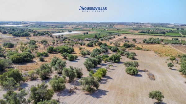 terreno agricolo in vendita a Noto