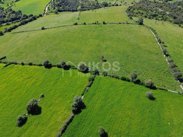 terreno agricolo in vendita a Noto
