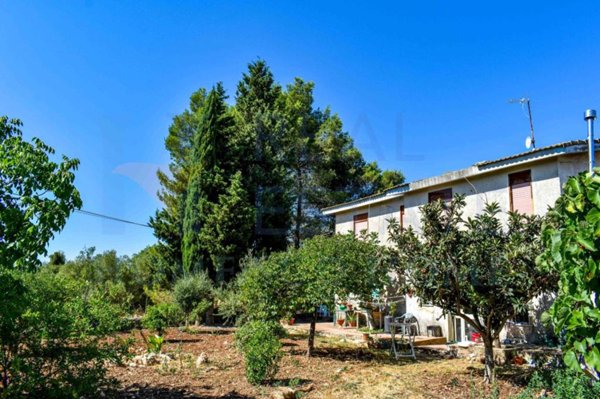 terreno agricolo in vendita a Noto