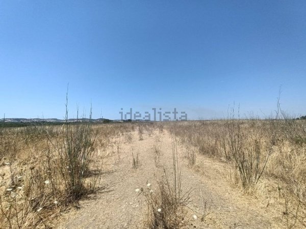 terreno agricolo in vendita a Noto