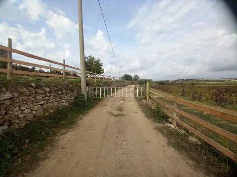 terreno agricolo in vendita a Noto