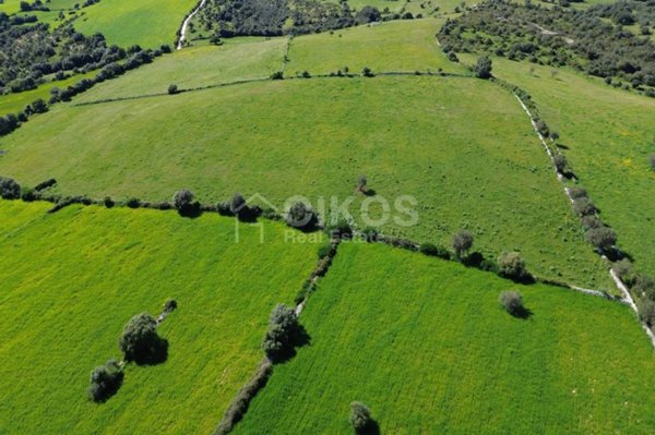 terreno agricolo in vendita a Noto