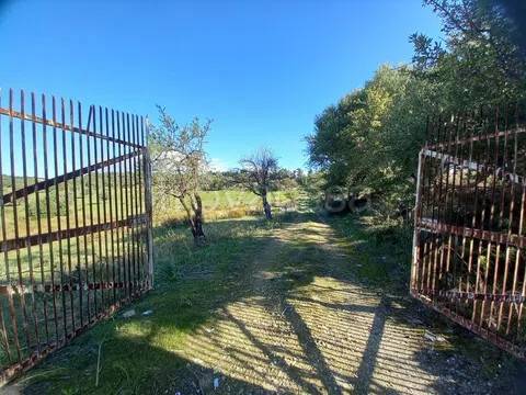 terreno in vendita a Noto