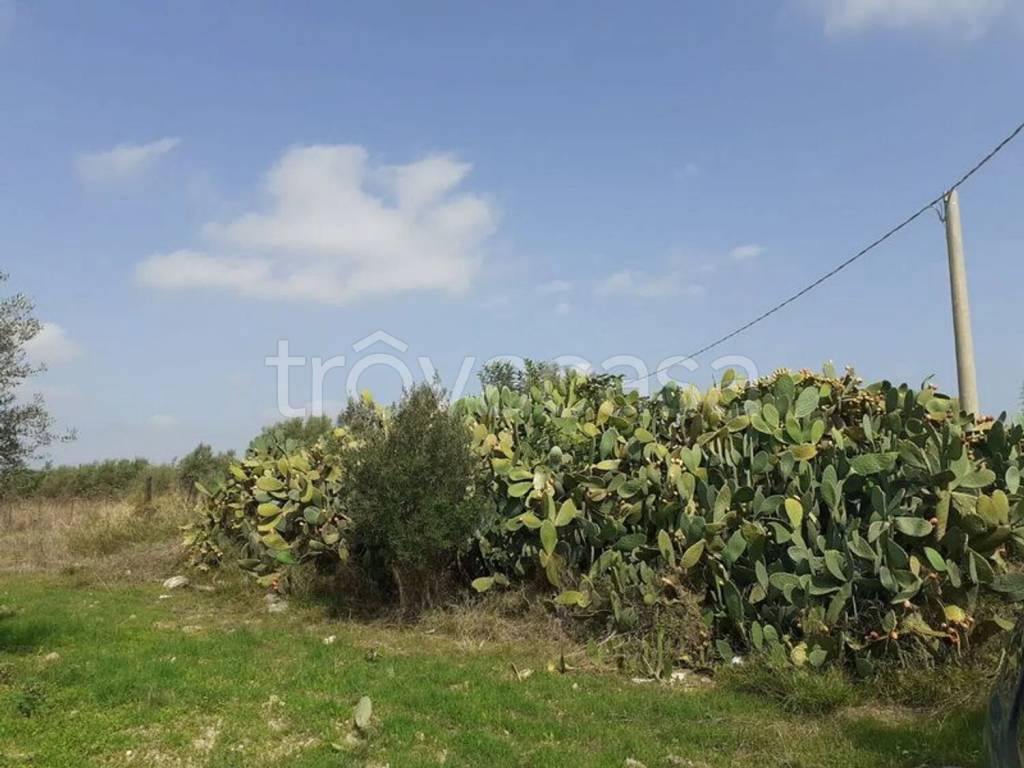 terreno agricolo in vendita a Noto