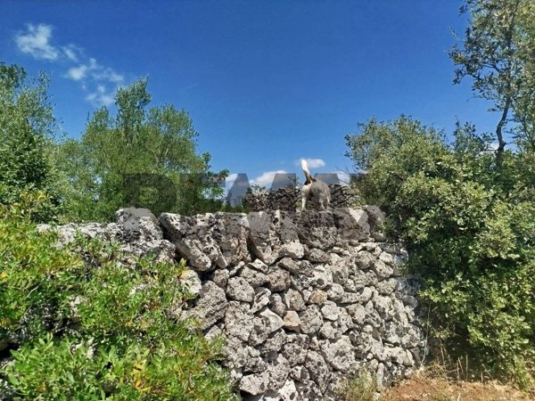 terreno agricolo in vendita a Noto